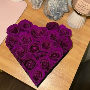 Purple forever roses